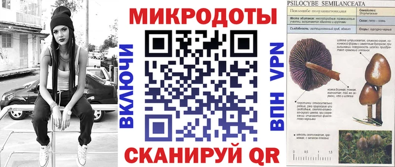 Галлюциногенные грибы Psilocybe Опочка